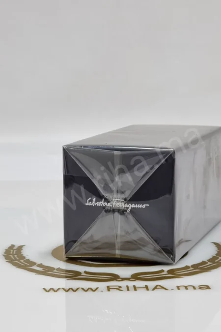 Ferragamo de Salvatore Ferragamo est un parfum Aromatique Fougère pour homme