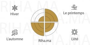 Decantage Spicebomb Metallic Musk Viktor&Rolf Pour Homme