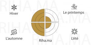 Decantage Spicebomb Night Vision Eau De Parfum Viktor&Rolf Pour Homme