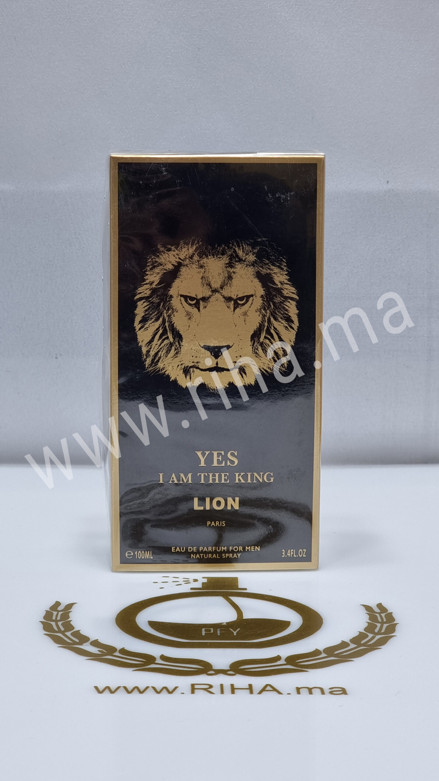 Yes I Am The King Lion 20221213 184229 scaled