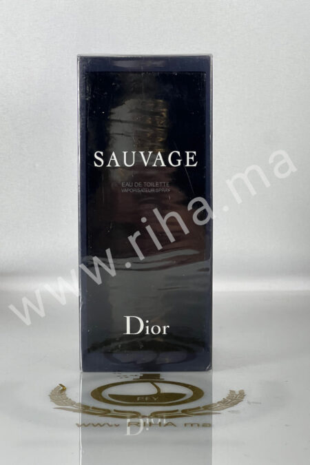 Sauvage Christian Dior Eau de Toilette pour homme