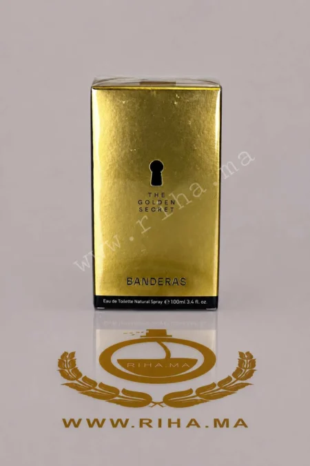 The Golden Secret Antonio Banderas pour homme.
