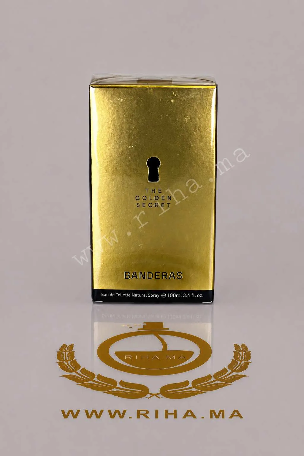 The Golden Secret Antonio Banderas pour homme.