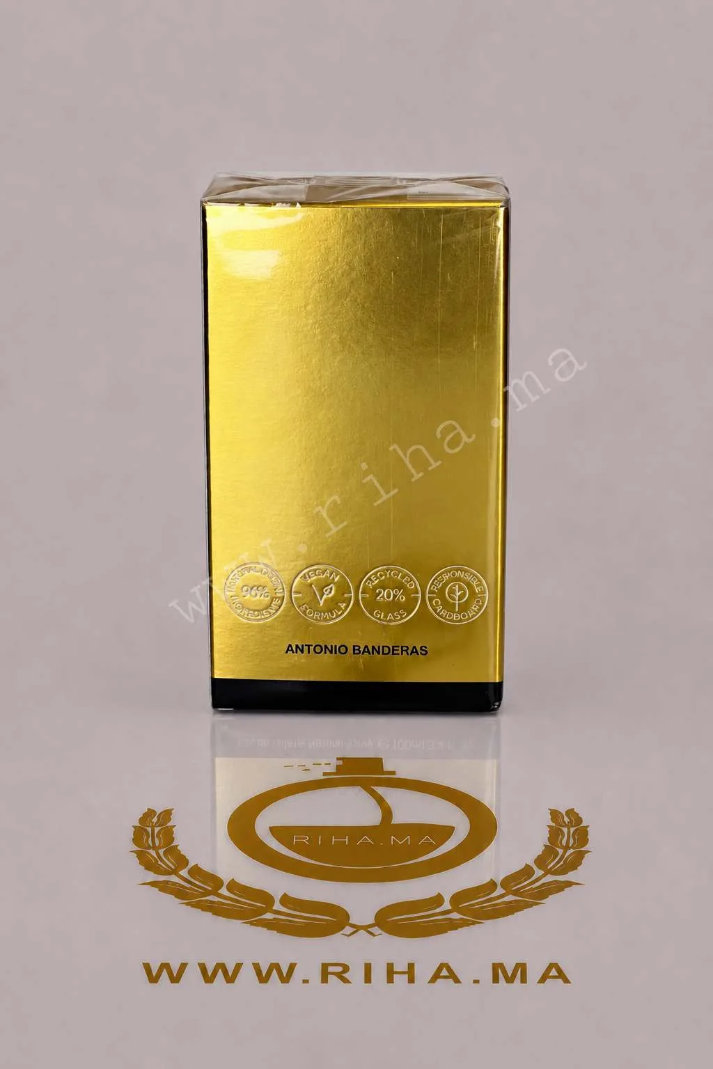 The Golden Secret Antonio Banderas pour homme.