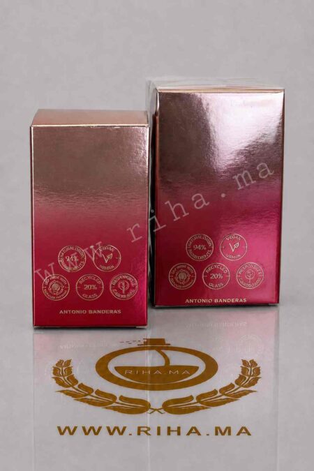 The Golden Secret Antonio Banderas pour homme