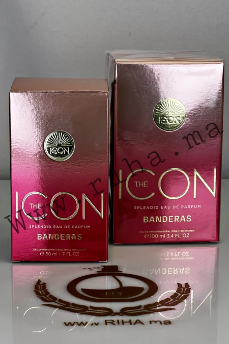 The Golden Secret Antonio Banderas pour homme