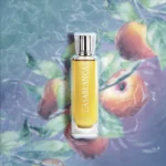 Tester Casablanca Swiss Arabian Eau de Parfum