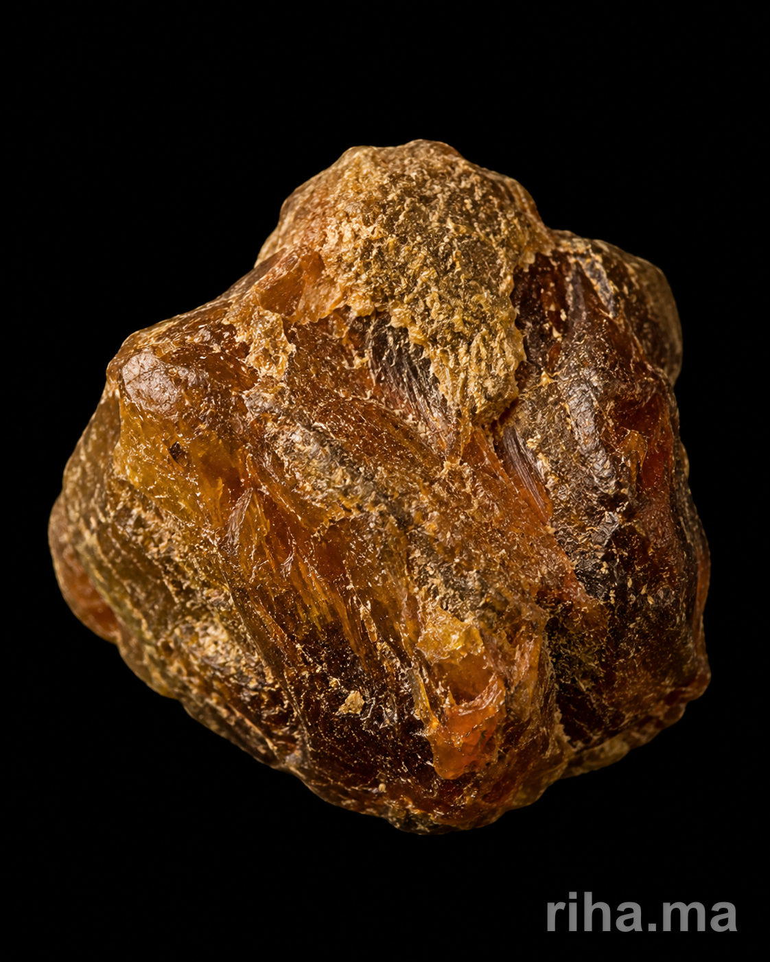 Baumier du Pérou