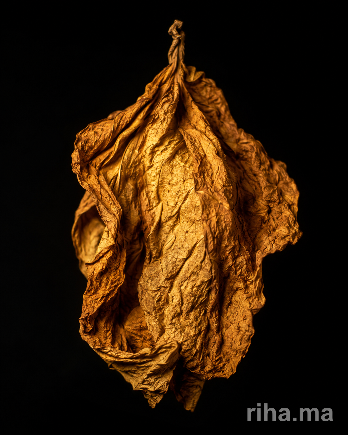 Tabac