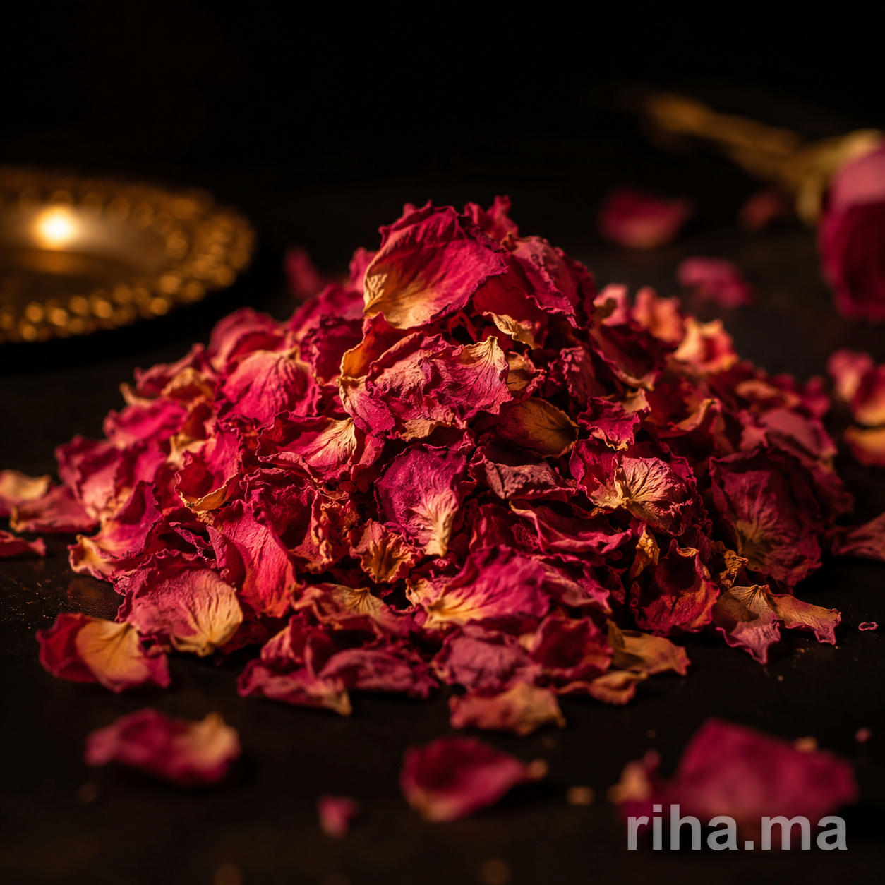 Rose de Turquie