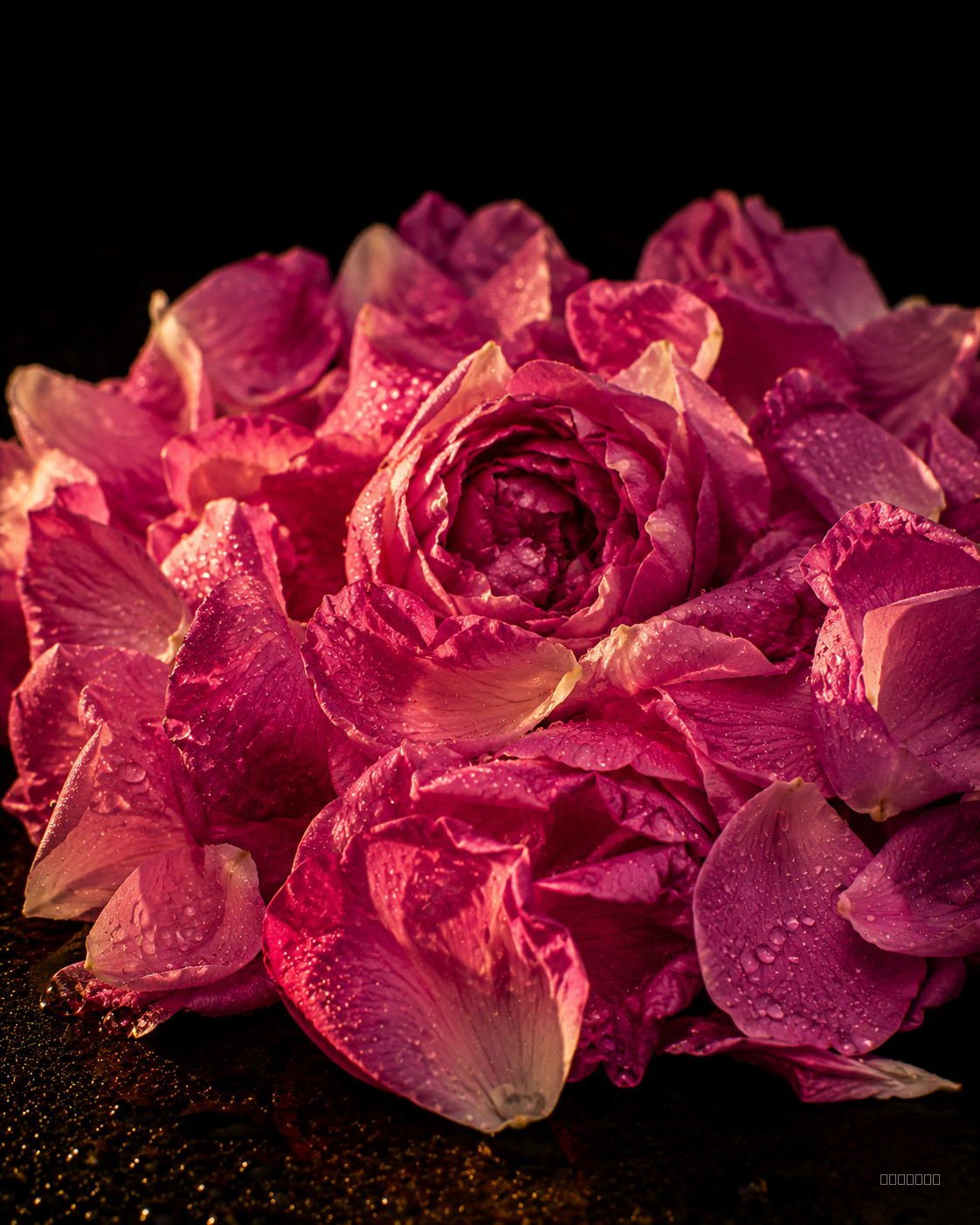 Rose turque