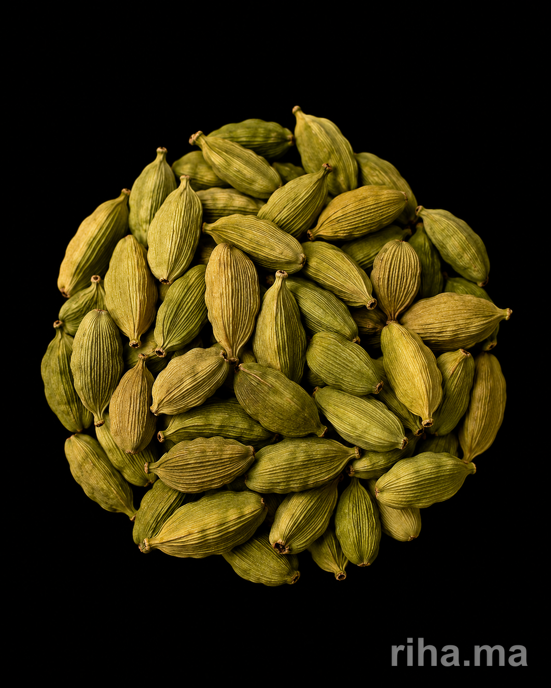 Cardamome